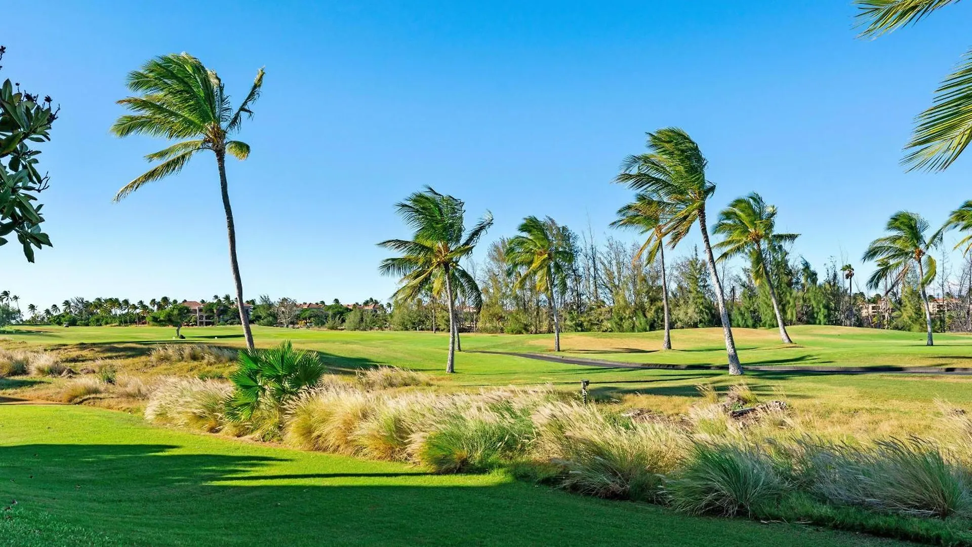 G4 Waikoloa Fairway Villas 0*,  Estados Unidos da América